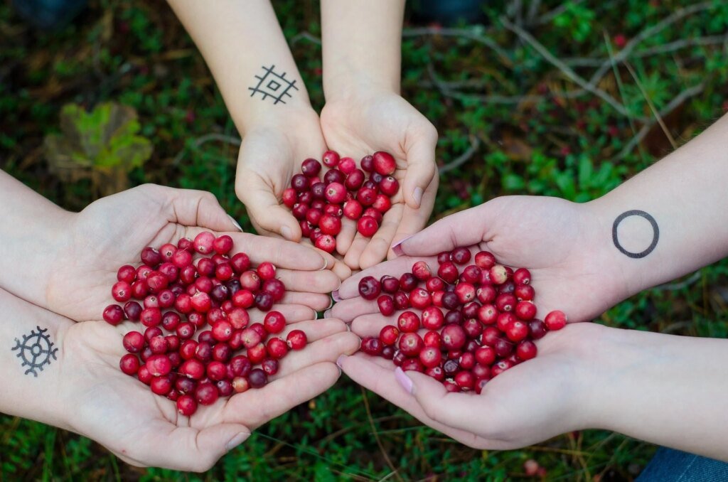 Cranberries Are the Underrated Superfood You Need Now