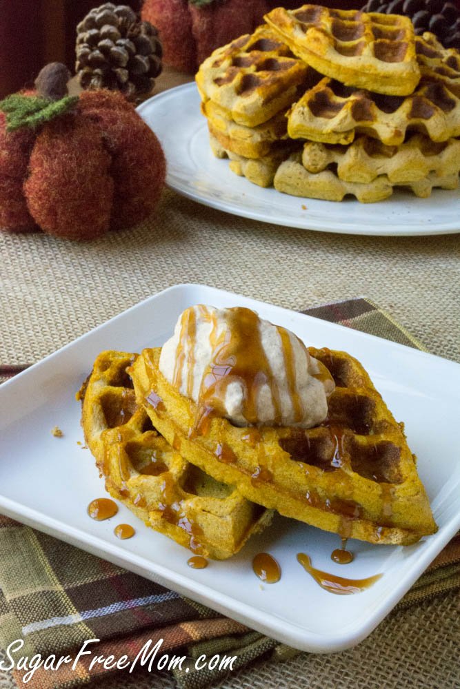 Easy Sugar Free Low Carb Keto Pumpkin Protein Waffles Easy Sugar Free Low Carb Keto Pumpkin Protein Waffles