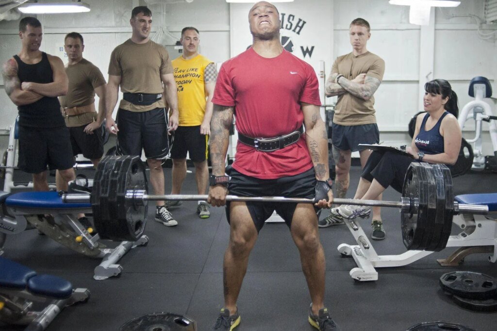 Plant Protein Supports Muscle Growth Effectively