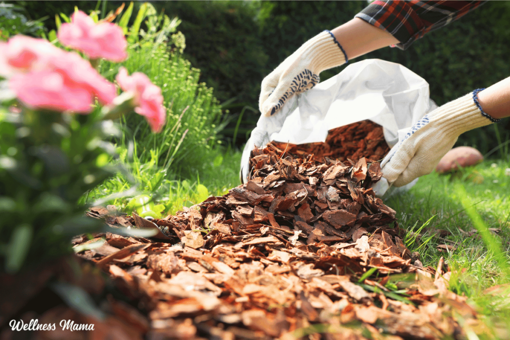 Spring Garden Checklist For An Easier Garden Season Spring Garden Checklist For An Easier Garden Season