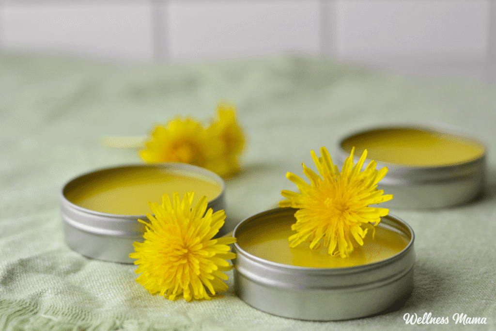 How to Make Dandelion Salve (For Sore Muscles and Healthy Skin) How to Make Dandelion Salve (For Sore Muscles and Healthy Skin)