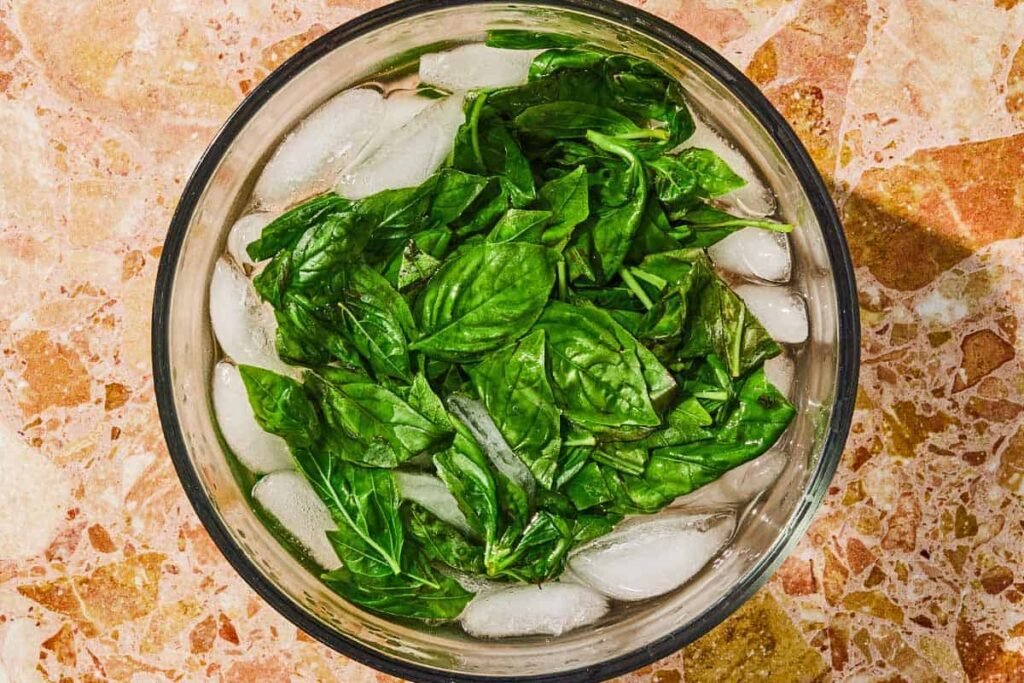 How to Store Fresh Basil